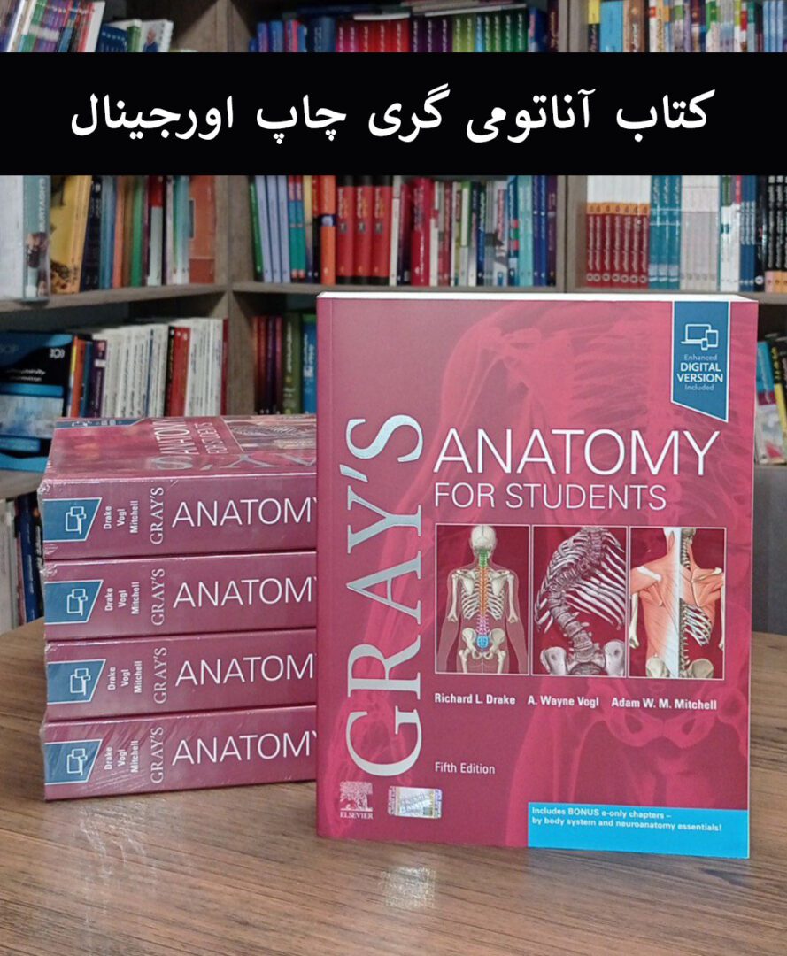 کتاب ارجینال آناتومی گری 