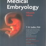 جلد چاپی جنین شناسی لانگمن 2023 | Langman's Medical Embryology