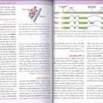 کتاب جنین شناسی پزشکی لانگمن 2024  ترجمه رضا دکتر شیرازی