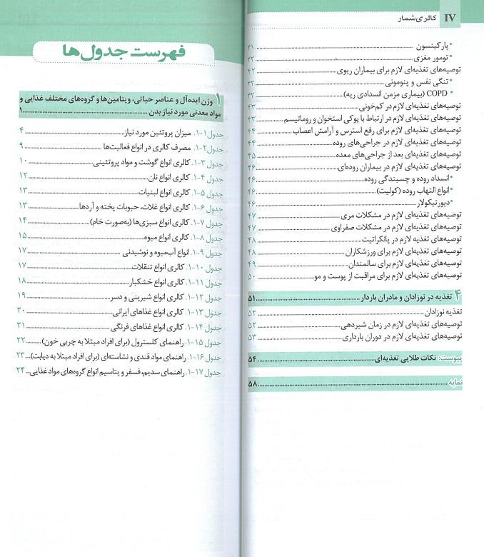 کالری شمار به زبان ساده برای عموم - تصویر 4