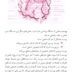 نمونه متن کتاب دانستنی های پوست، مو و زیبایی برای همه