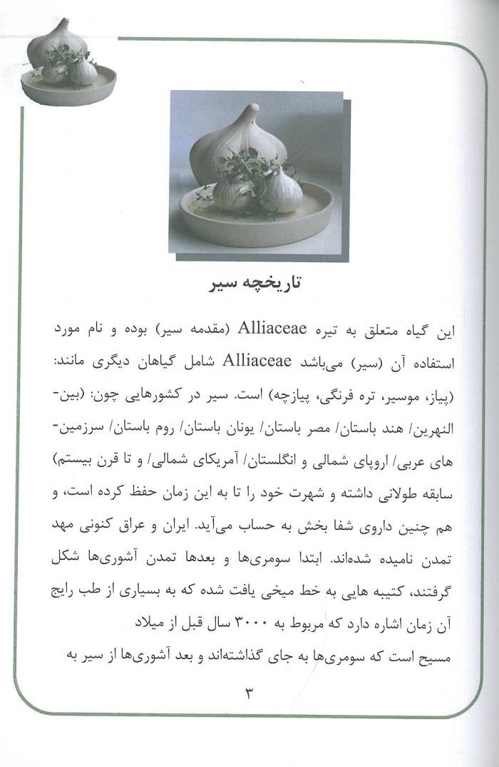سیر و خواص آن - تصویر 2