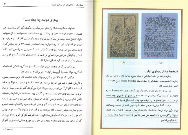 متن کتاب من و بیماری دیابت | راهنمای بیماران مبتلا به دیابت نوع 1 و 2 نویسنده : دکتر جواد فیض - content