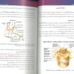 textbook کتاب ضایعات اعصاب محیطی
