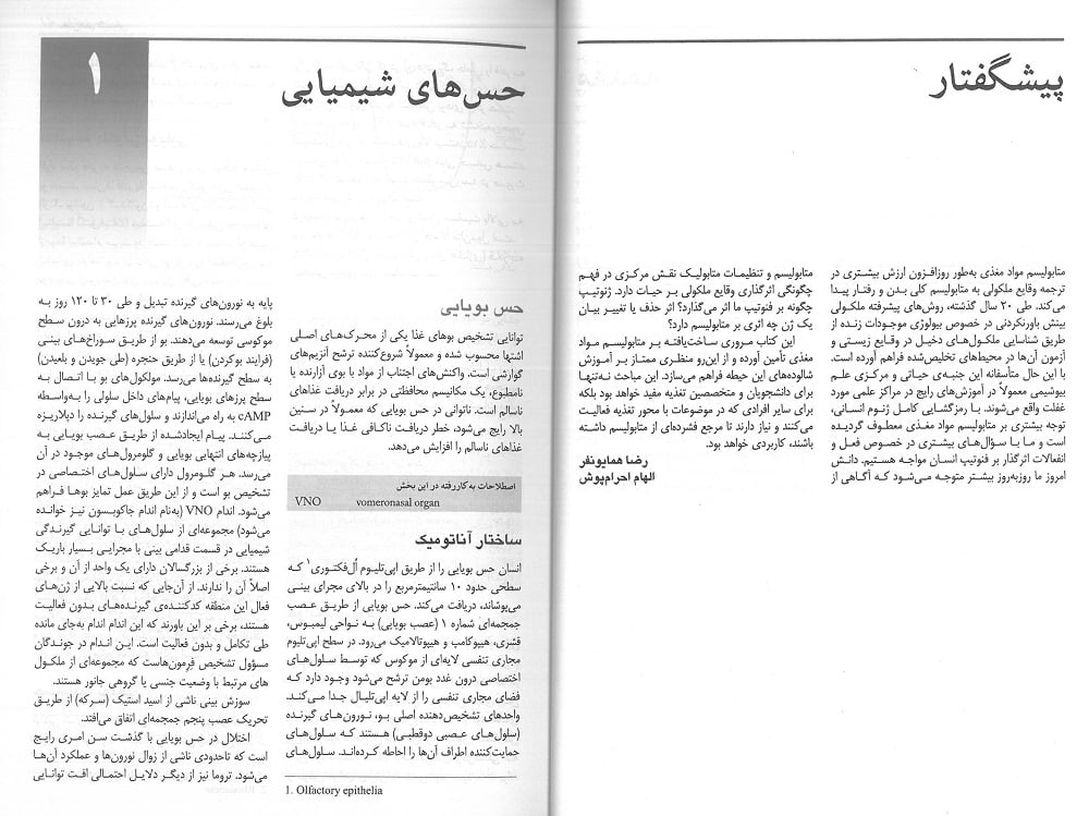 متابولیسم مواد مغذی - تصویر 5