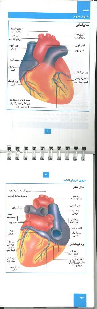 تفسیر ECG به روش سریع - تصویر 4
