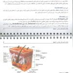 نمونه محتوای کتاب بخیه و هموستاز جراحی 