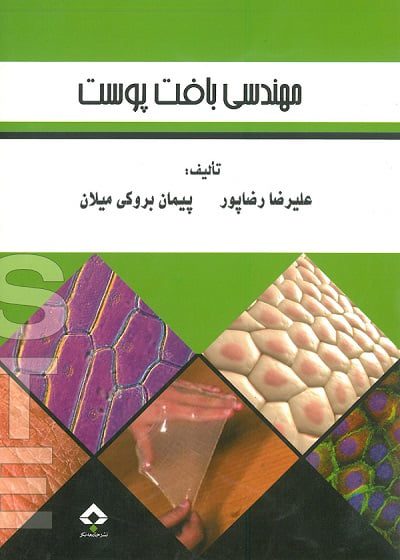 مهندسی بافت پوست