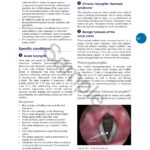 Murtagh General Practice 8th Edition