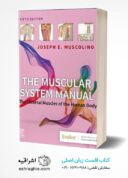 The Muscular System Manual: The Skeletal Muscles Of The Human Body 5th Edition