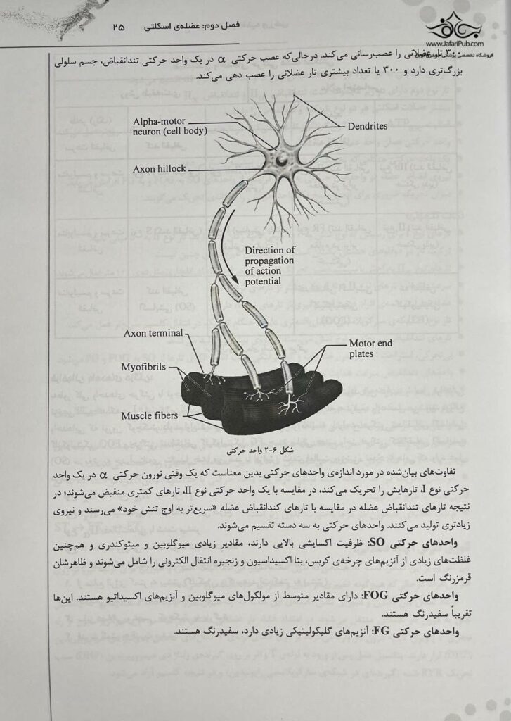 درسنامه جامع فیزیولوژی و تغذیه ورزشی