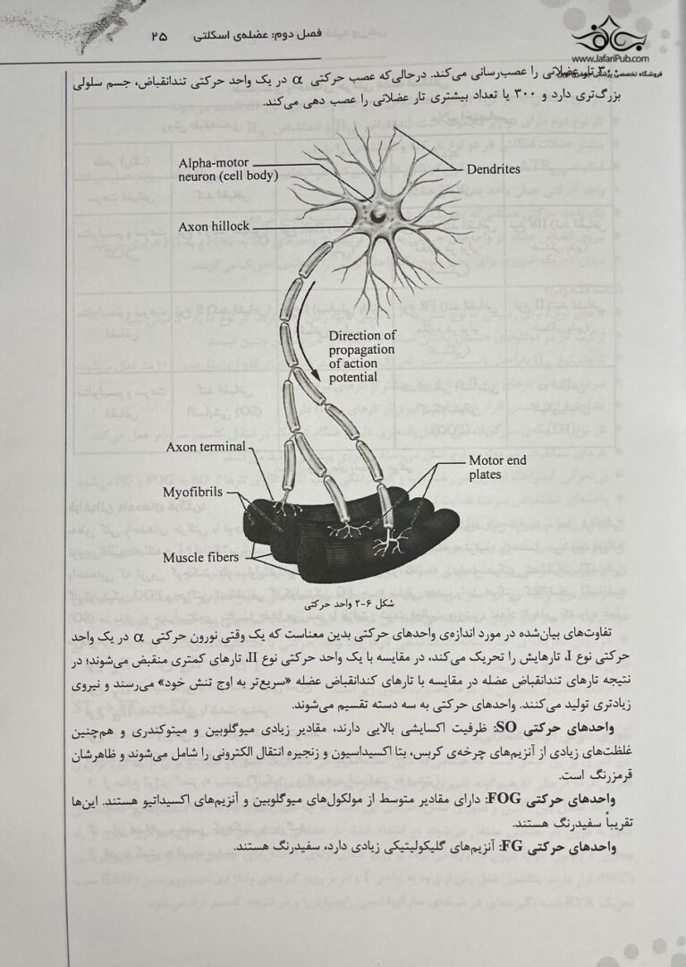 درسنامه جامع فیزیولوژی و تغذیه ورزشی