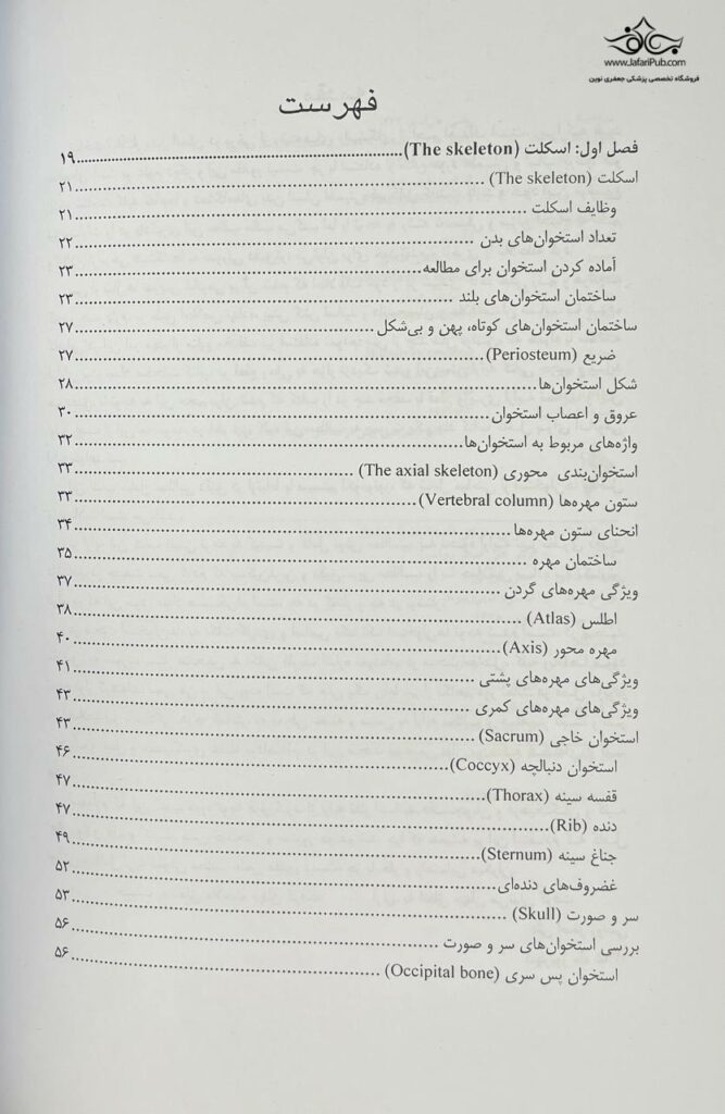 آناتومی حرکتی