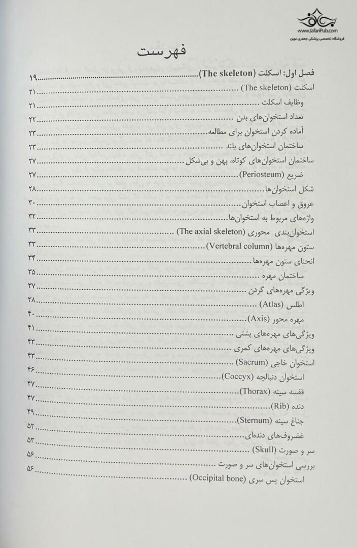 آناتومی حرکتی