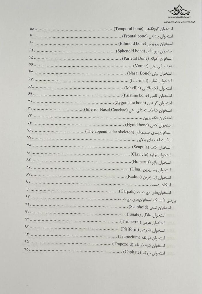 آناتومی حرکتی