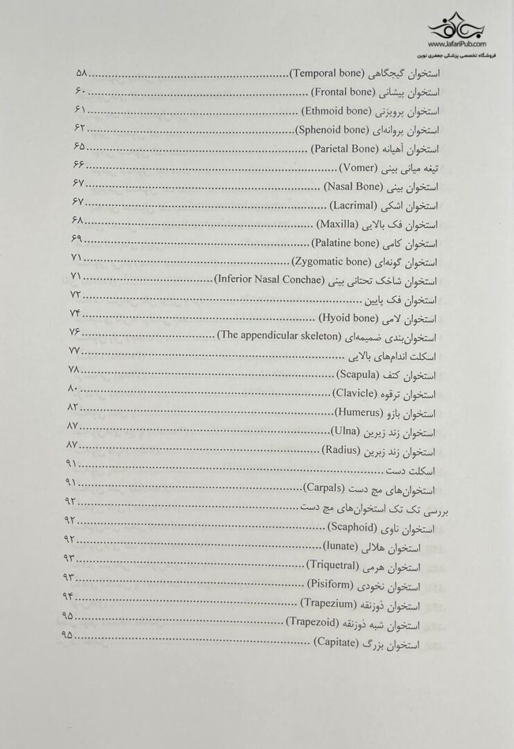 آناتومی حرکتی
