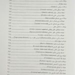 آناتومی حرکتی