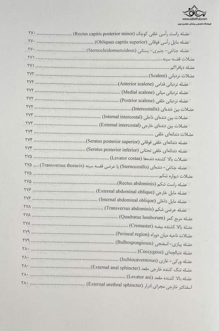 آناتومی حرکتی