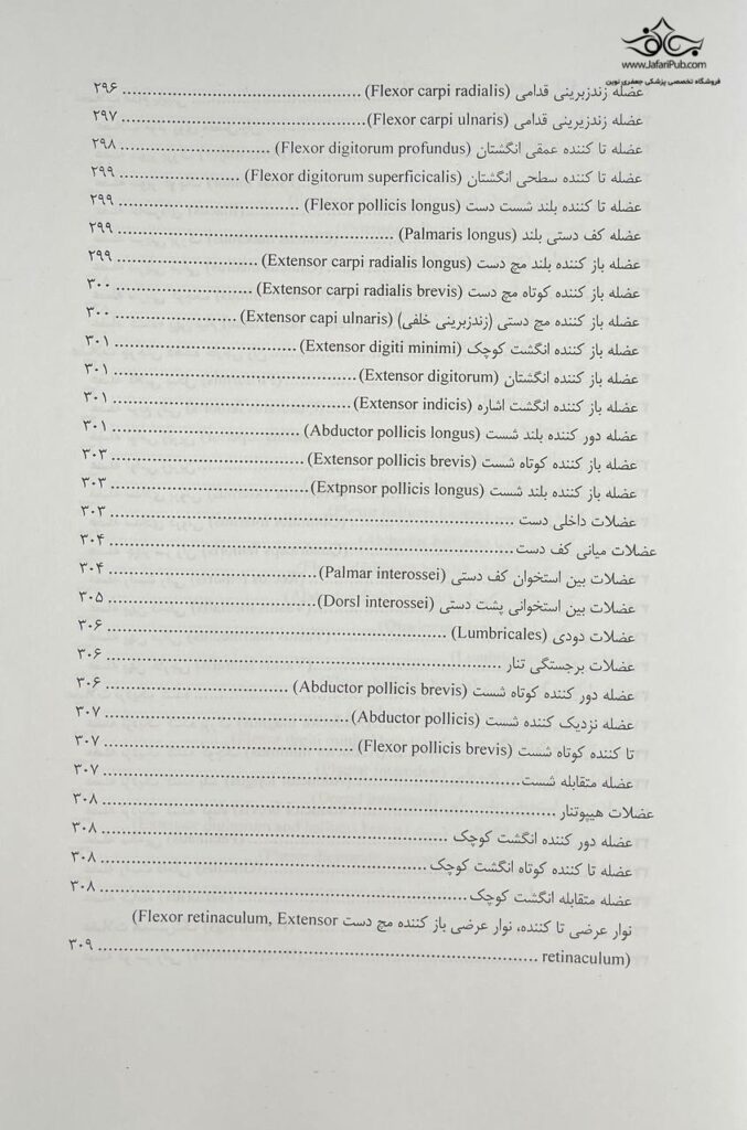 آناتومی حرکتی