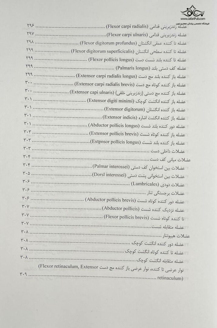 آناتومی حرکتی