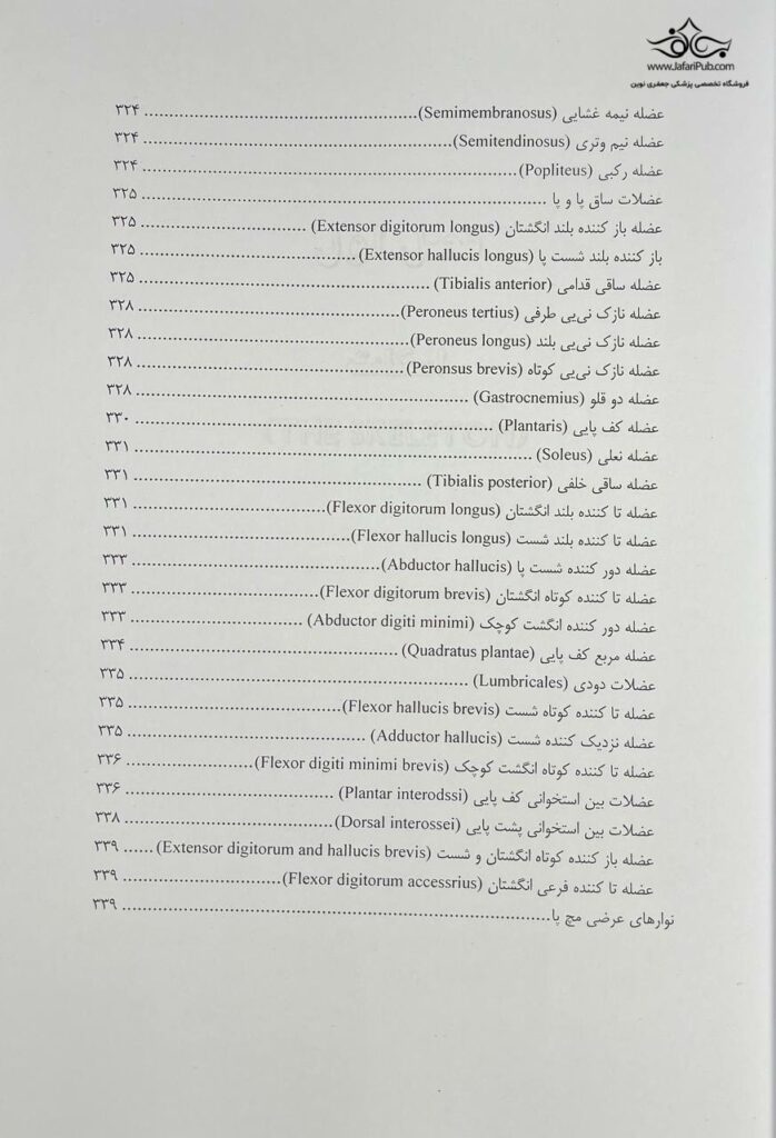آناتومی حرکتی