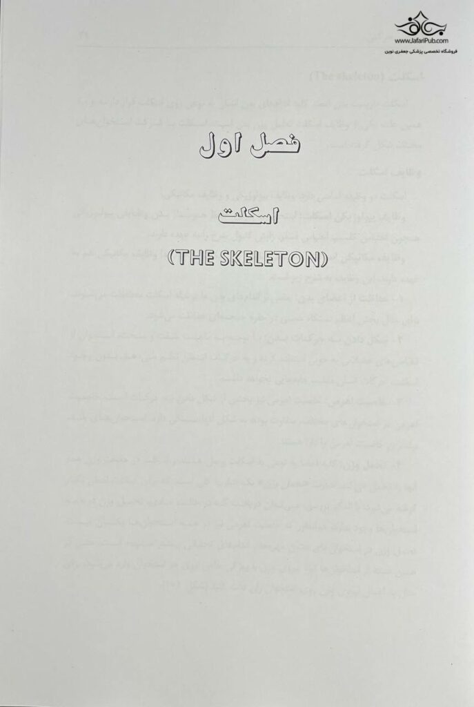 آناتومی حرکتی