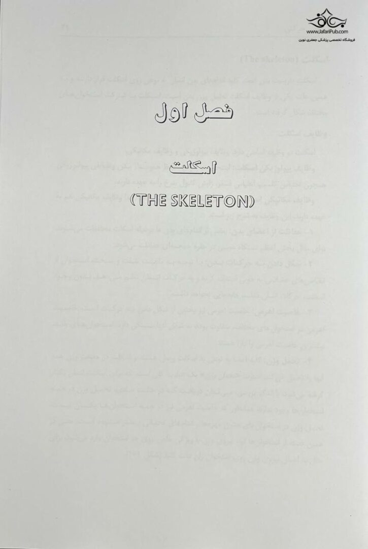 آناتومی حرکتی