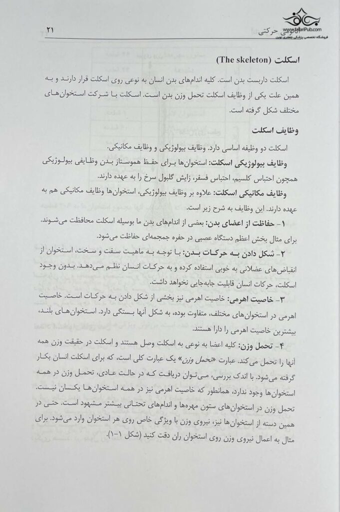 آناتومی حرکتی