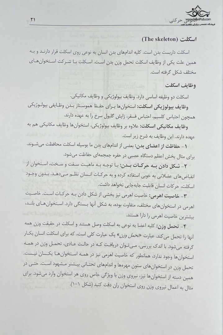آناتومی حرکتی