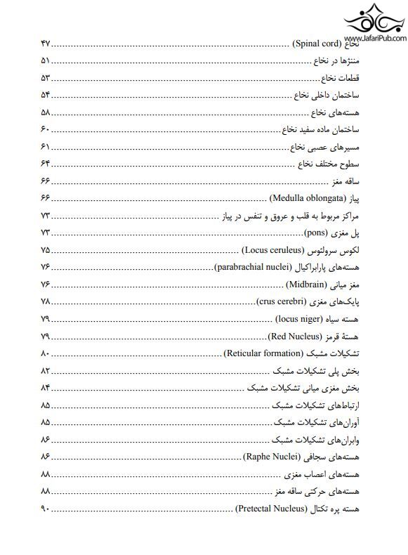 آناتومی دستگاه عصبی