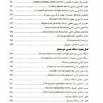 آناتومی دستگاه عصبی
