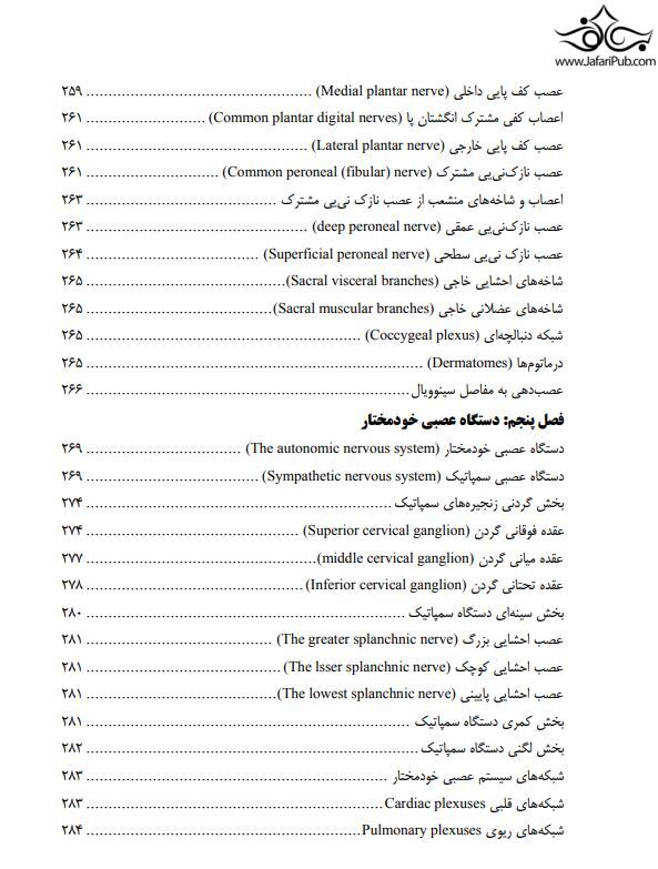 آناتومی دستگاه عصبی