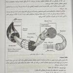 درسنامه جامع فیزیولوژی و تغذیه ورزشی