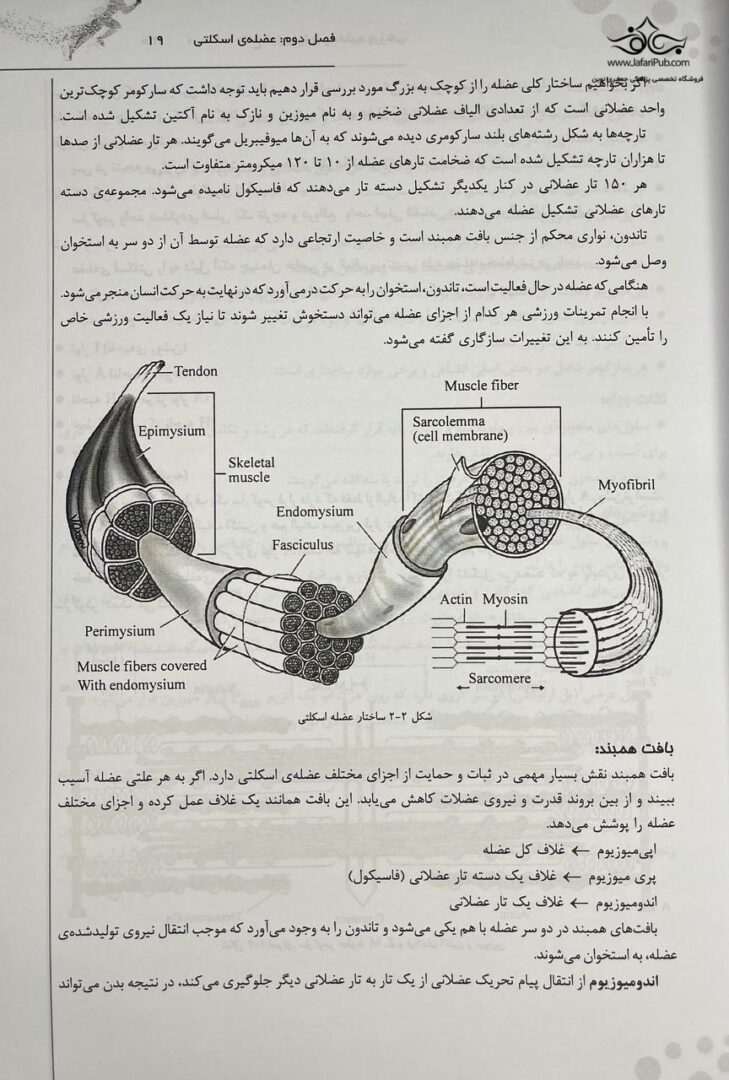 درسنامه جامع فیزیولوژی و تغذیه ورزشی