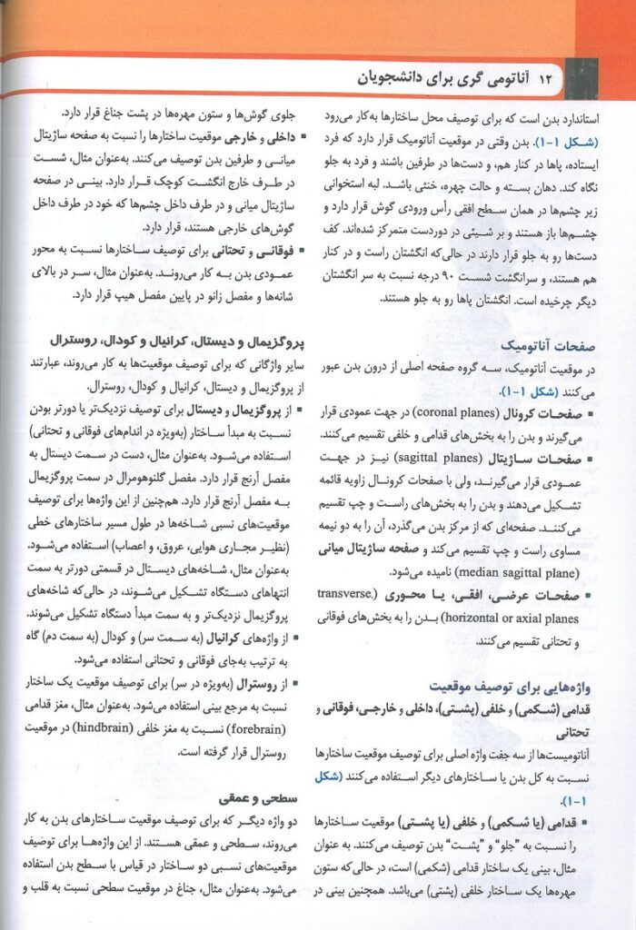 نمونه متن فارسی ترجمه کتاب آناتومی گری تنه 2024 دکتر حسن زاده