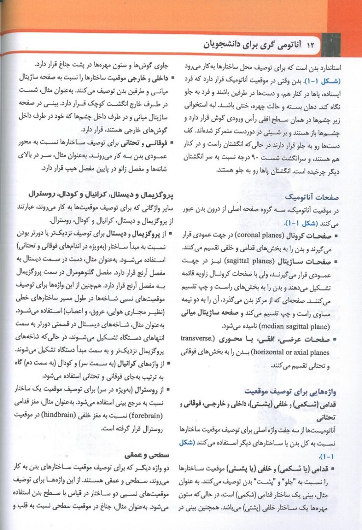 نمونه متن فارسی ترجمه کتاب آناتومی گری تنه 2024 دکتر حسن زاده