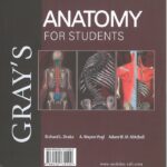 پشت جلد کتاب آناتومی گری برای دانشجویان ۲۰۲۴ | جلد دوم : اندام | دکتر شیرازی