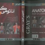 جلد کامل کتاب آناتومی گری برای دانشجویان ۲۰۲۴ | جلد دوم : اندام | دکتر شیرازی