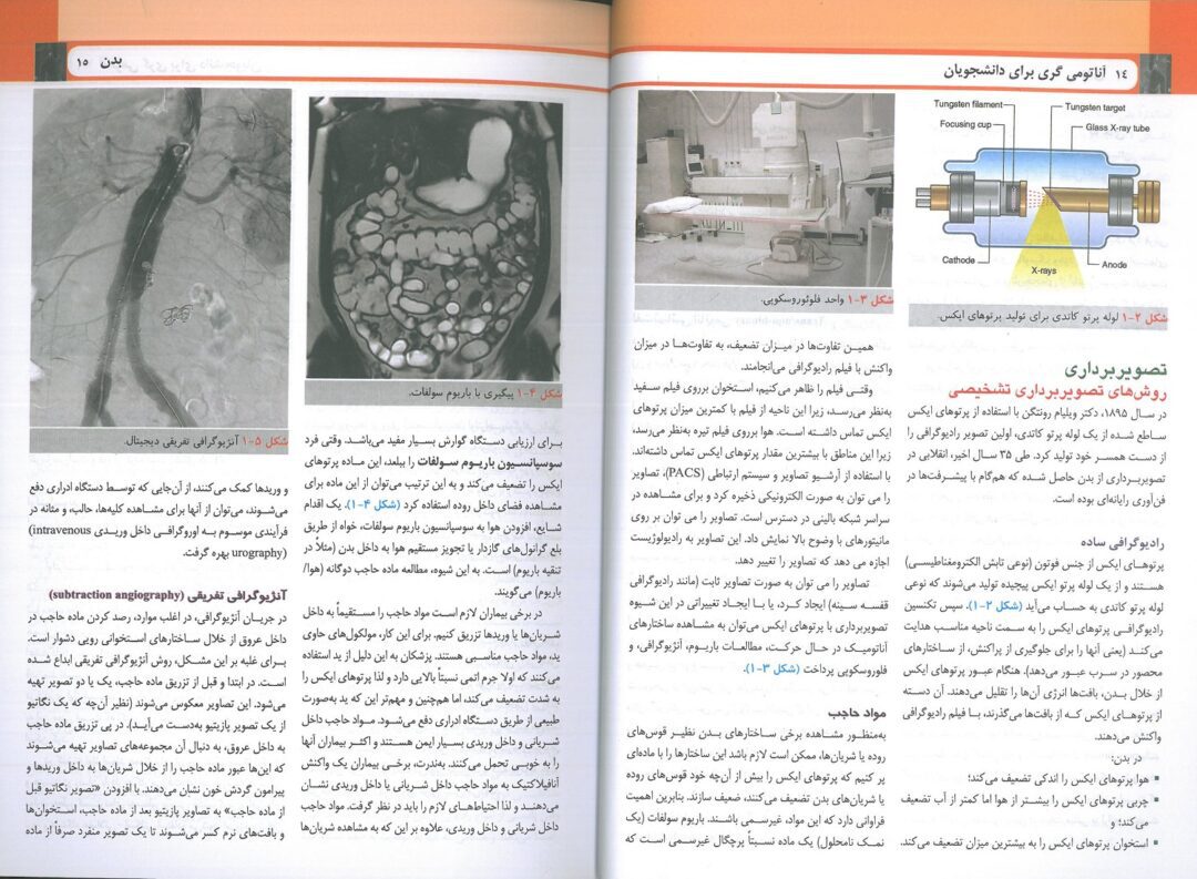 نمونه متن فارسی ترجمه کتاب آناتومی گری تنه 2024 دکتر حسن زاده