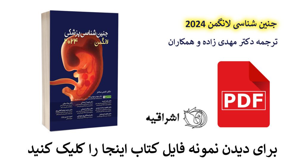 مشاهده فایل نمونه SAMPLE PDF کتاب جنین شناسی لانگمن 2024 ترجمه مهدی زاده نشر اشراقیه