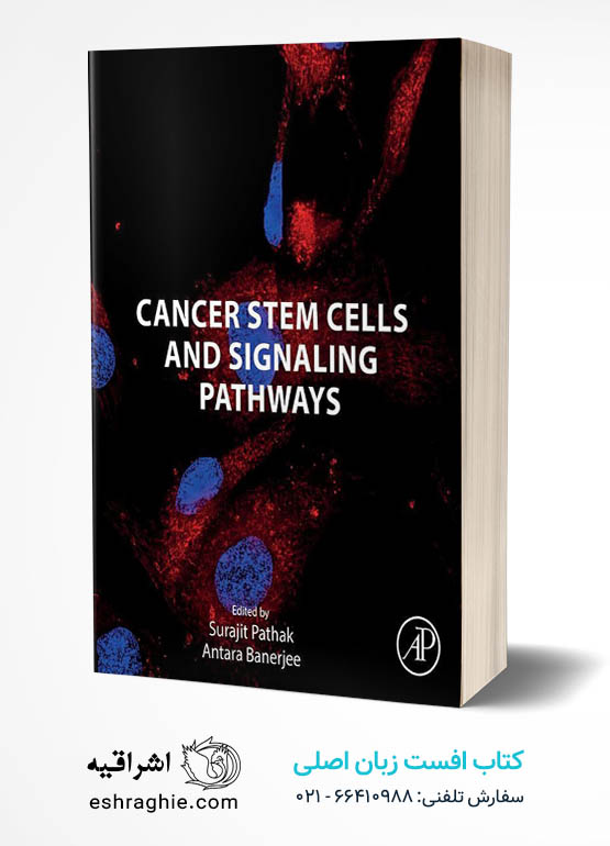 Cancer Stem Cells and Signaling Pathways Kindle Edition