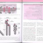 کتاب فیزیولوژی برن و لوی 2024