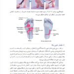 کتاب رفلکسولوژی و طب فشاری پا (روشی ساده برای پایش سلامتی )
