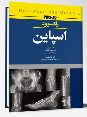 اسپاین – راکوود 2025