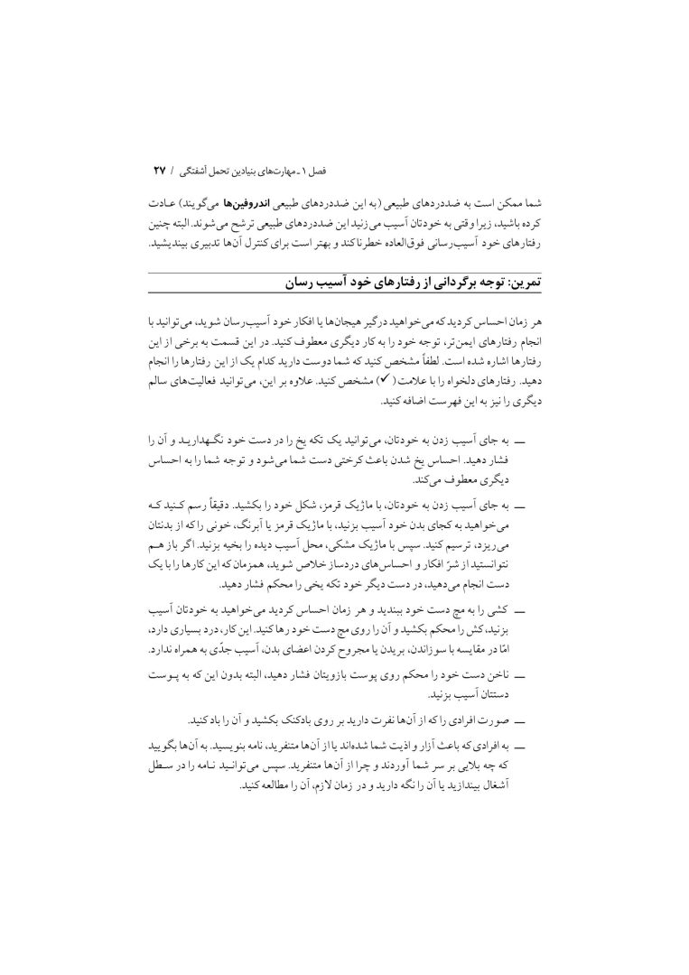 تکنیک های رفتار درمانی دیالکتیکی - صفحه 24