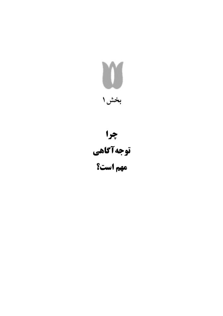 توجهآگاهی راه حلی برای مشکلات روزمره - صفحه 4