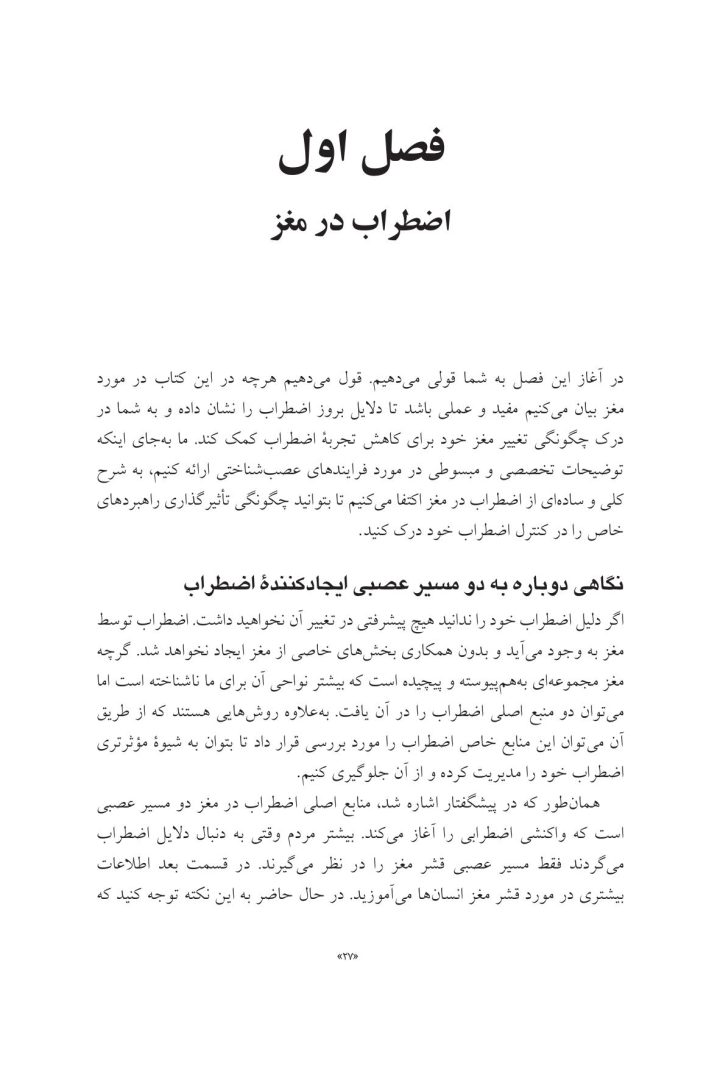 مغز مضطرب خود را بازسازی کنید - صفحه 4