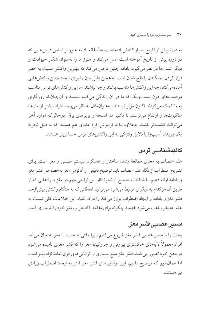 مغز مضطرب خود را بازسازی کنید - صفحه 7
