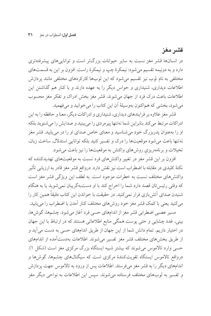 مغز مضطرب خود را بازسازی کنید - صفحه 8