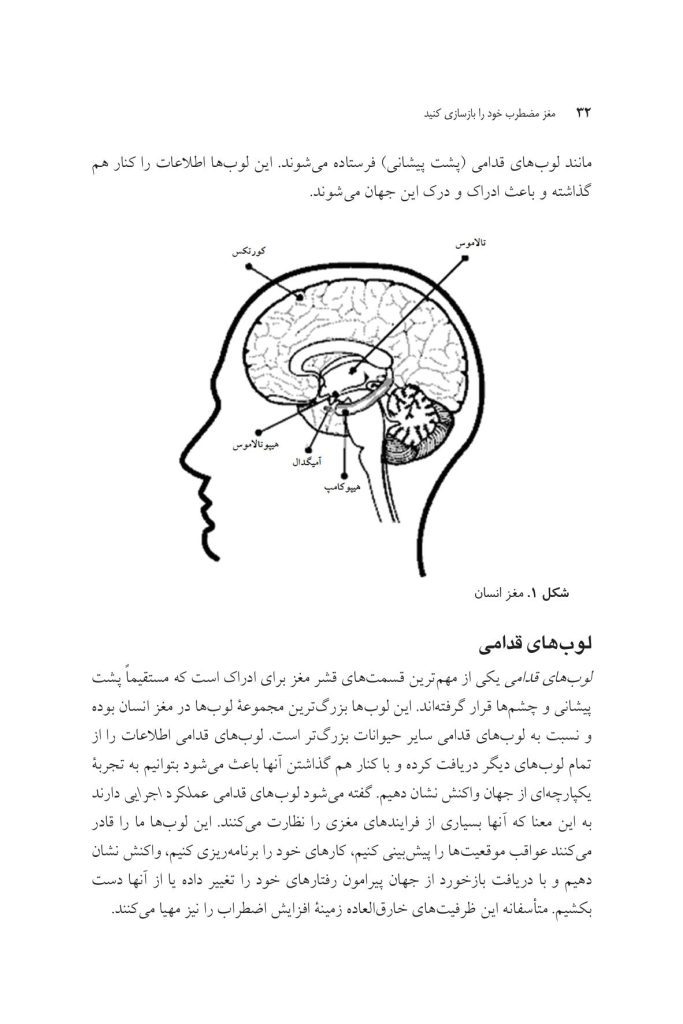مغز مضطرب خود را بازسازی کنید - صفحه 9